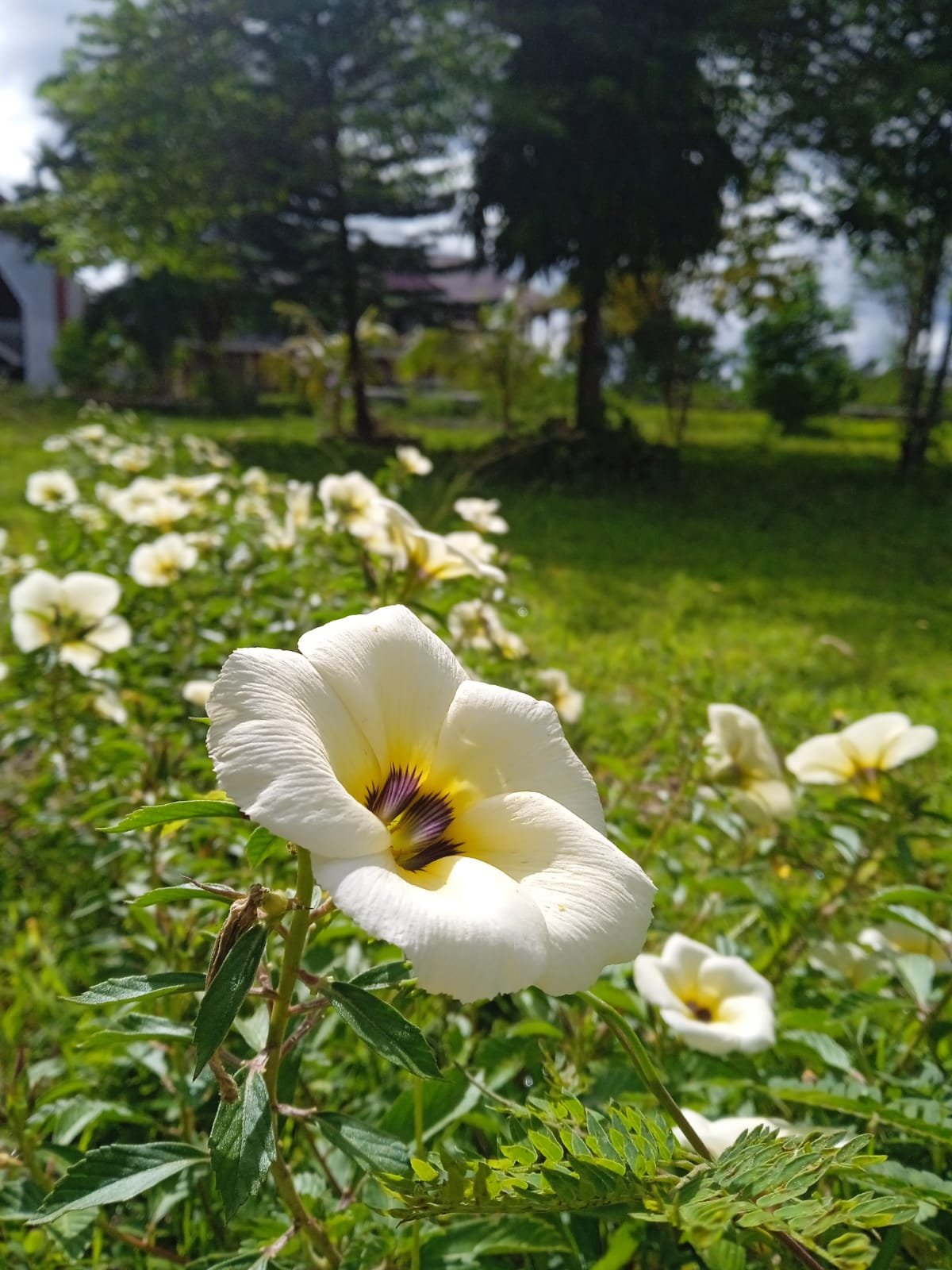 ANGKA 18 KEMBALI BERKISAH